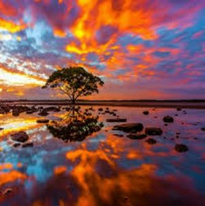 Meet your Posher, Brendon